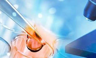 做第三代试管婴儿需要多长时间移植成功？