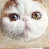 2026年想去镇江市做试管婴儿需要准备哪些事？详细收费明细一览