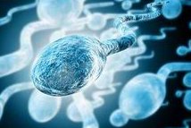 有姐妹知道2026年新疆哪里做试管婴儿的技术比较好吗？