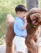 泰国做试管流程及要求？