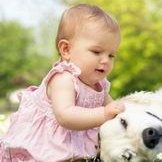 上海中医药大学附属曙光医院做三代试管婴儿成功率高不高？什么因素可以影响到试管成功率