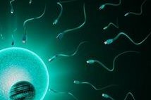 黄石试管三次花多少钱？