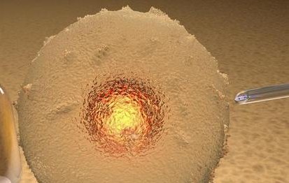 试管婴儿七周胎停（试管七周胎停是什么原因导致）