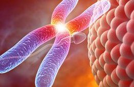 死精率80%的男性可以在禹城市做三代试管吗？公开2026做三代试管条件