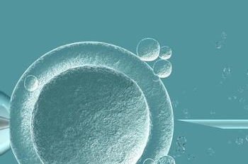 取出卵后怎么自己判断有没有腹水